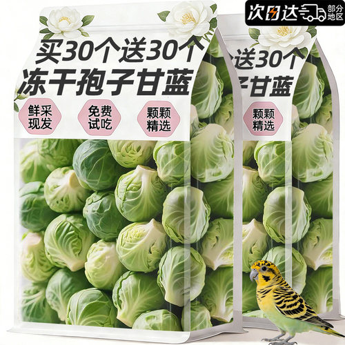 【日期新】鹦鹉零食磨牙