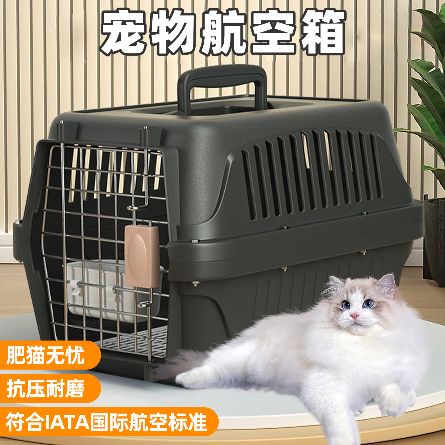 寵物航空箱國航空托運專用