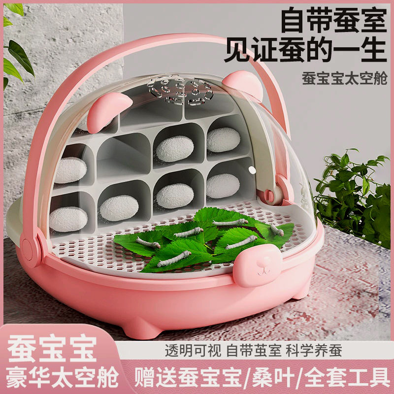 蚕宝宝太空舱!学生养蚕套装