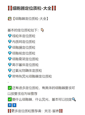 pCMV-Mem-mCherry-SV40-Neo哺乳细胞细胞膜亚细胞定位质粒开票
