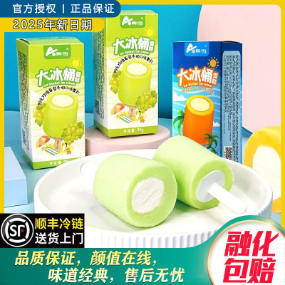 奥雪大冰桶白桃草莓甜橙石榴口味雪糕冷饮怀旧童年冰淇淋激凌葡萄