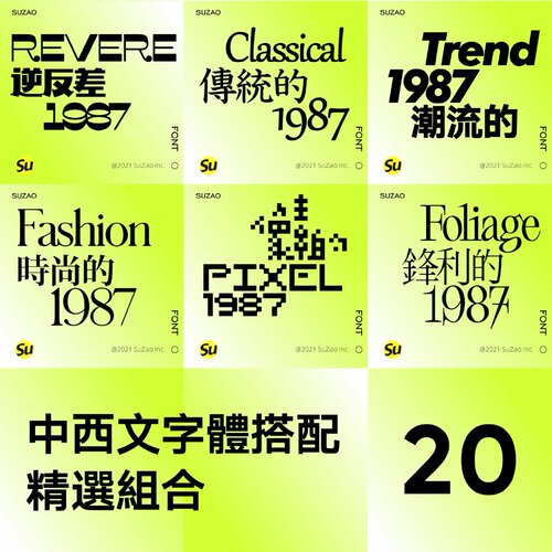中文品牌字体包英文下载逆反差酸性Procreate设计PS素材FONT