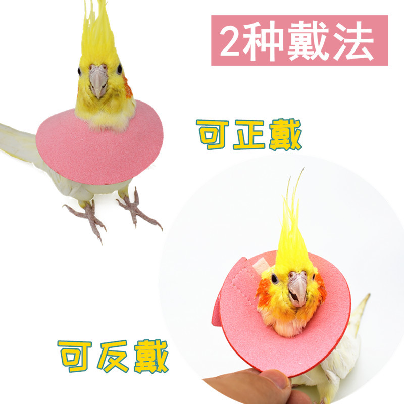 伊丽莎白圈鹦鹉斗篷鸟用防咬毛啄毛受伤保护项圈脖套虎皮玄凤披风