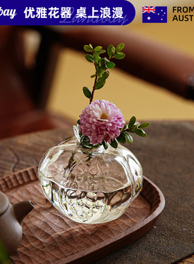 Lunabay澳大利亚迷你小石榴花瓶水养植物玻璃手作创意摆件 LB7