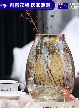 Lunabay澳大利亚创意大号轻奢裂纹冰花玻璃花瓶琉光透明花器 LB11