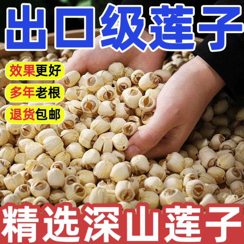【出口级】建宁莲子中药材500g特级新干货去芯福建特产白莲子无硫