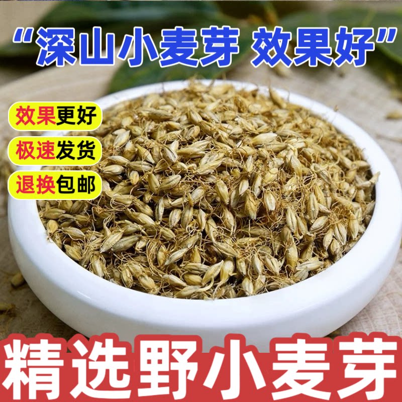 野生生麦芽中药材正品500g特级深山新货生麦芽炒麦芽焦麦芽泡水喝