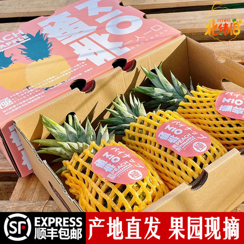 【海南冬蜜凤梨】树上熟9斤现摘