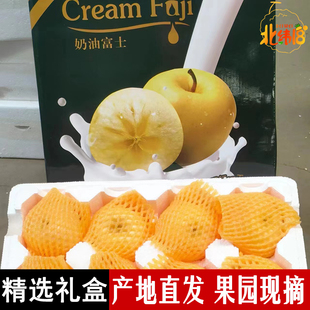 山东烟台奶油富士苹果嘎啦苹果新鲜水果黄金当季5斤礼盒冰糖心大