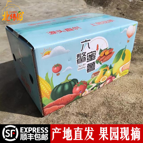 福建六鳌蜜薯9斤红心一级果海沙