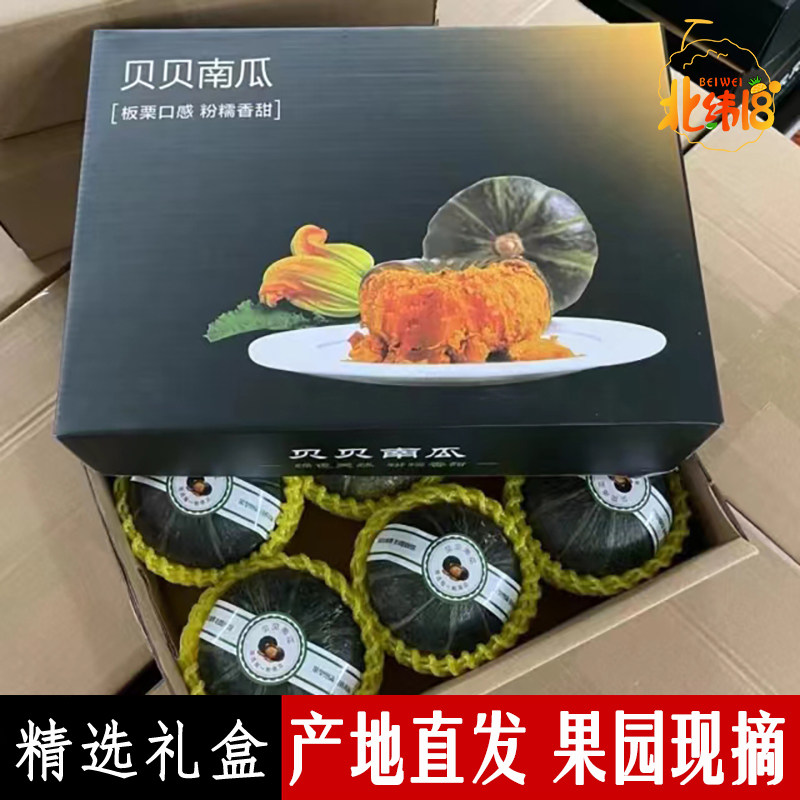 正宗贝贝南瓜婴儿辅食板栗味小南瓜9斤新鲜蔬菜粉糯甜奶油南瓜