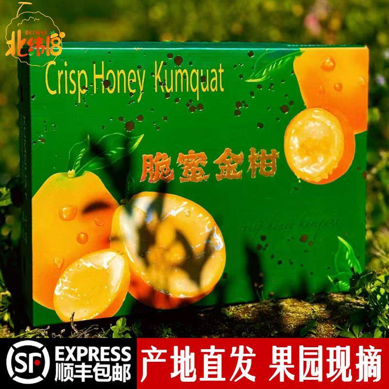 大凉山脆蜜金柑4斤礼盒三代脆蜜金桔无籽一级果现摘新鲜水果顺丰