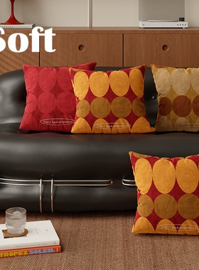 包豪斯复古轻奢抱枕方形枕办公椅靠家用客厅沙发抱枕可拆卸枕套罩