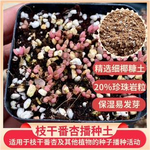 枝干番杏播种土-枝干番杏多肉专用播种土营养土保湿易发芽