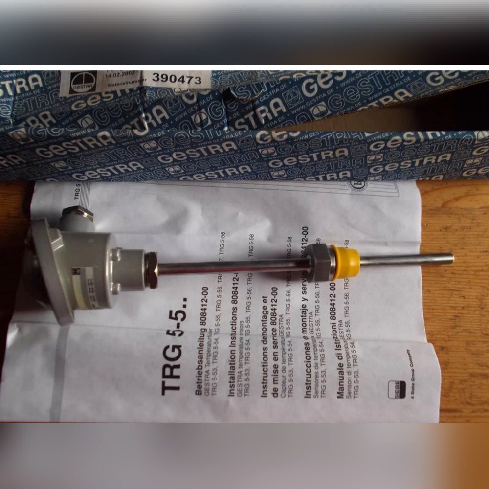 GESTRA TRG 5-53 1xPT100 G12