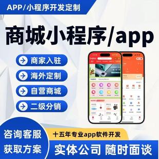 商城小程序开发定制海外竞拍商城分销拼团积分购物商城小程序制作