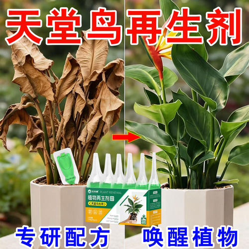 天堂鸟植物再生剂专为室内盆栽的