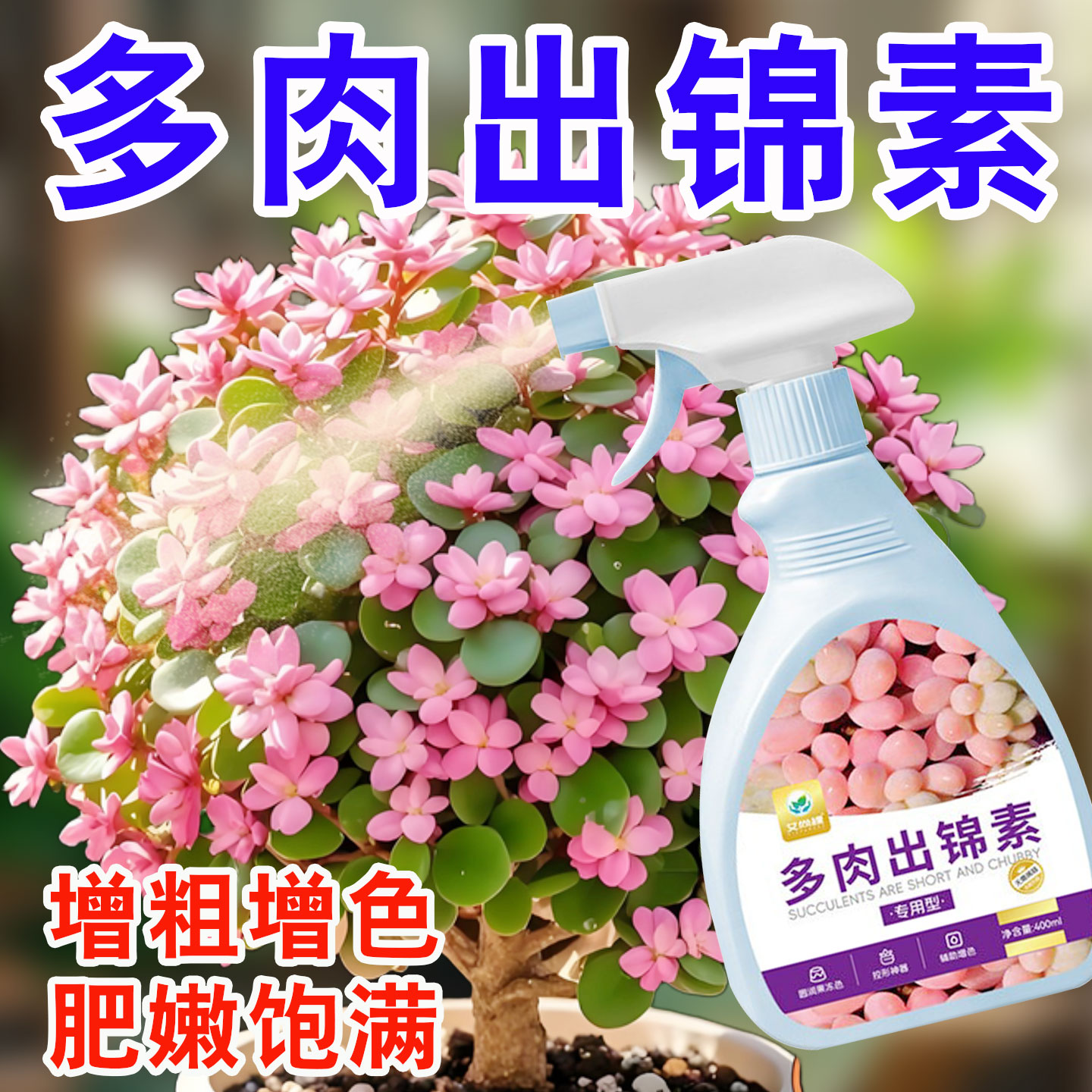 多肉出锦素出锦变色通用图片