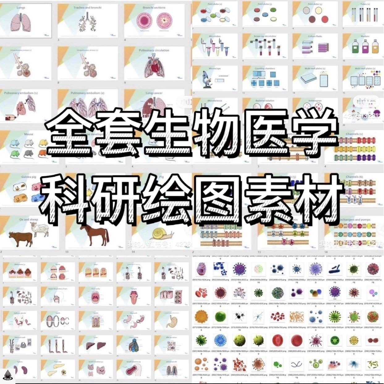 ppt科研绘图素材全套生物医学可编辑插图细胞流程图通路图模型