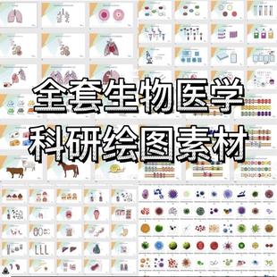 ppt科研绘图素材全套生物医学可编辑插图细胞流程图通路图模型