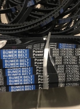 AV17X1260LI 17X1265LI 17X1270LI 17X1275LI 17X1280LI  17X1290