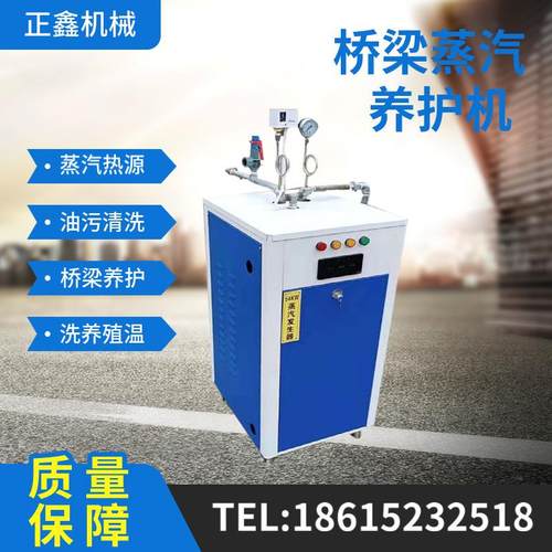 桥梁蒸汽养护器电加热蒸汽发生器混凝土养护器冬季工程养护机