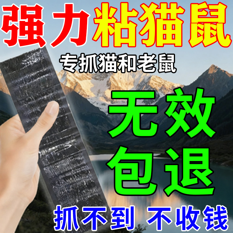 捕猫贴大型老鼠粘鼠猫板强力灭鼠魔毯养殖场黄鼠狼专用板强效克星