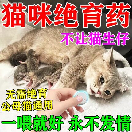 母猫绝育专用药猫咪发情期抑情片宠物绝情禁情公猫抑制情绪舒缓片
