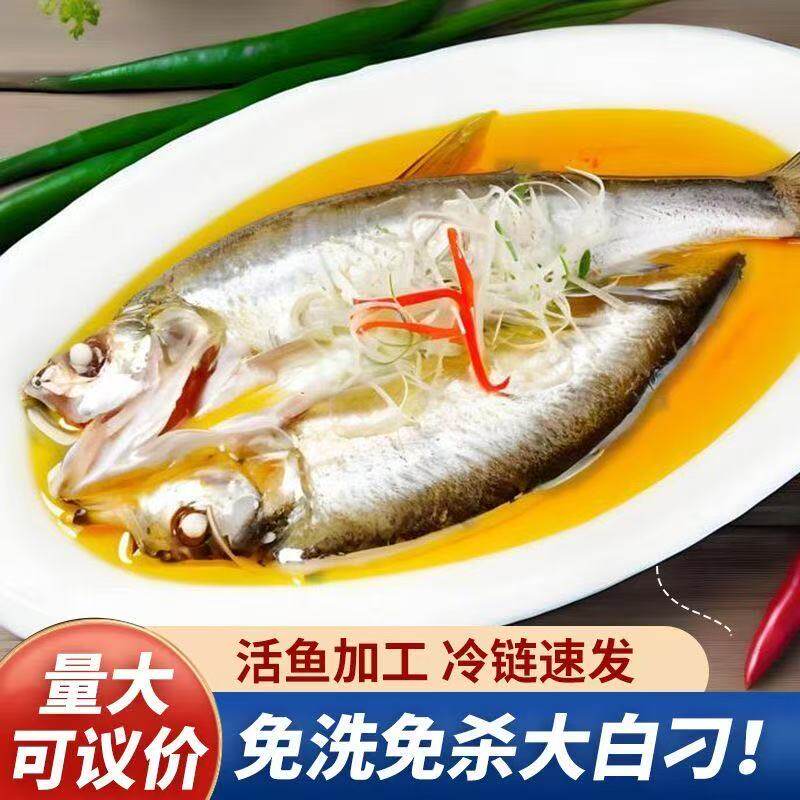 顺丰次日达苏州太湖生态大白鱼白丝鱼翘嘴鱼大白刁新鲜活鱼冷冻