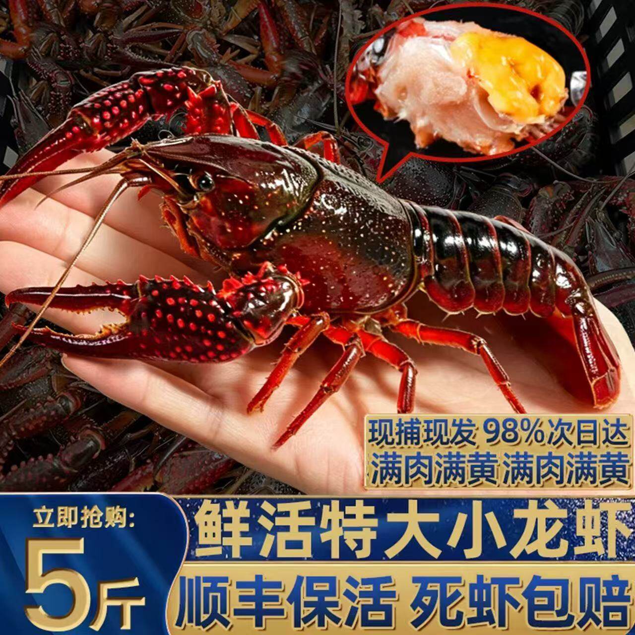 苏州顺丰次日达清水小龙虾鲜活5斤装太湖生态特大青壳虾红头虾