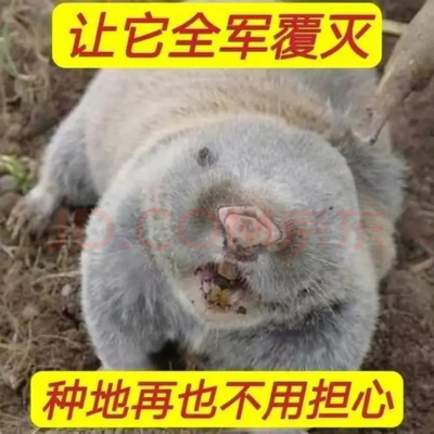 熏哈哈烟雾剂 灭哈哈瞎老田鼠地排子地爬子哈老药地下哈哈药鼢鼠