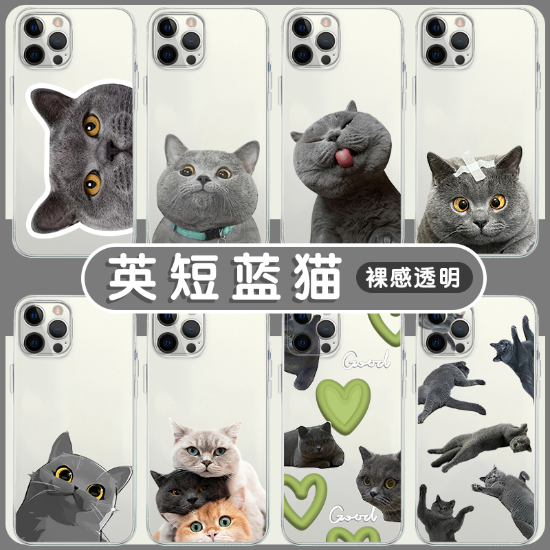 英短蓝猫萌宠高透软壳