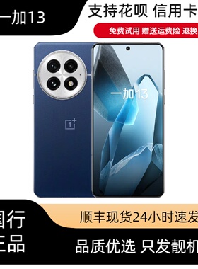 OnePlus/一加 一加 13