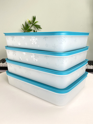 特百惠保鲜盒2.25升雪影冷冻冷藏饺子盒加大型四件套专柜正品新品