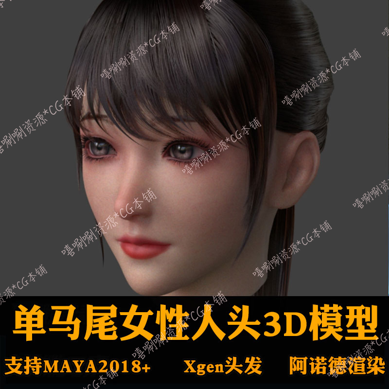 Maya单马尾女性人头3D模型Xgen头发阿诺德渲染贴图毛发源文件工程