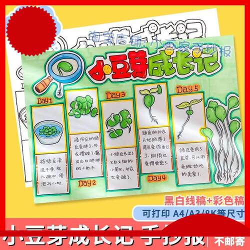 绿豆芽生长记手抄报小学生绿豆芽观察日记成长记录自然笔记线稿a4