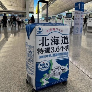 牛奶盒子定制DIY个性弹力箱套拉杆箱旅行旅游登机行李皮箱保护罩