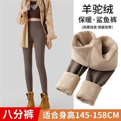 鲨鱼裤女小个子秋冬外穿打底裤