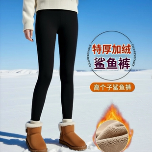 瑜伽裤 加长版 加绒高腰收腹保暧裤 女外穿秋冬打底裤 高个子鲨鱼裤