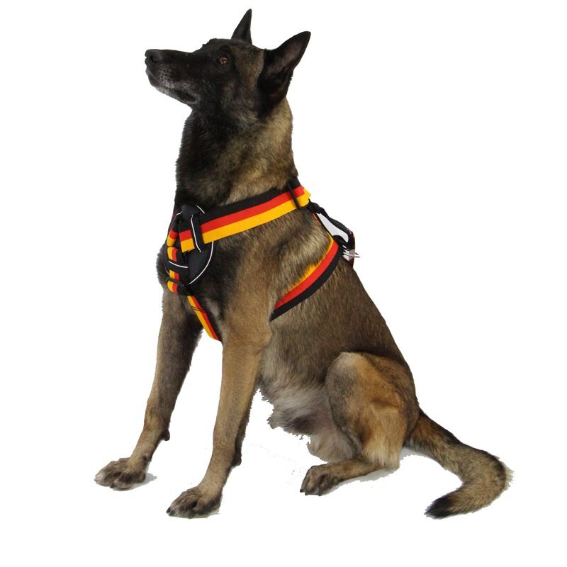 狗套装胸背金毛德牧马犬工作犬