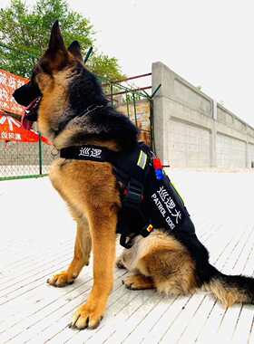 狗工作巡逻冬季马犬金毛衣服背带