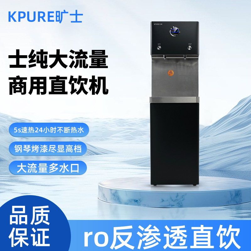 士纯饮水机ro反渗透大型商用直饮即热式工业纯净水机器过滤设备
