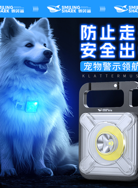 宠物发光项圈LED吊坠夜间遛狗灯猫狗夜行灯充电防水防走失灯反光