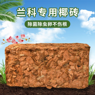 粗椰壳砖兰花专用营养土蝴蝶兰植料月季土花卉君子兰椰糠脱盐椰砖