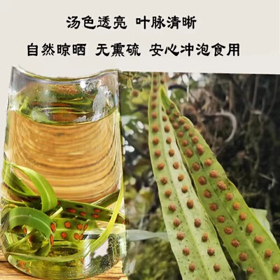 肾精茶又称化石草100克起拍买二送一泡水当茶饮每次冲泡10根左右