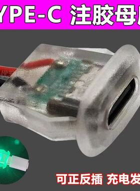 Type-C母座2P注胶直压式 台灯改装DIY电动车汽车椭圆带线充电接口
