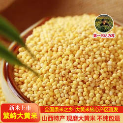 山西特产繁峙大黄米新米农家自产包粽子小黄米五谷杂粮软糯粘米饭