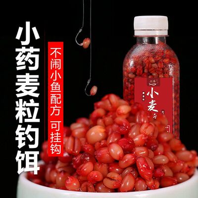 野钓通杀钓鱼小血麦四季饵料鲫鱼