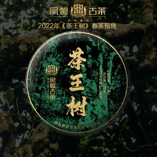 2022年春茶云南刮风寨茶王树高杆古树普洱生茶饼