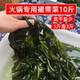 火锅专用裙带菜10斤整箱新鲜嫩芽盐渍海带苗商用凉拌食材非纯干货